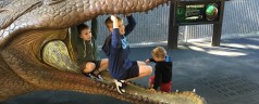 Crikey … it’s Australia Zoo